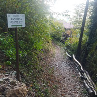 image 2 0f 20 thumb.jpeg